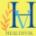 Healthvik logo